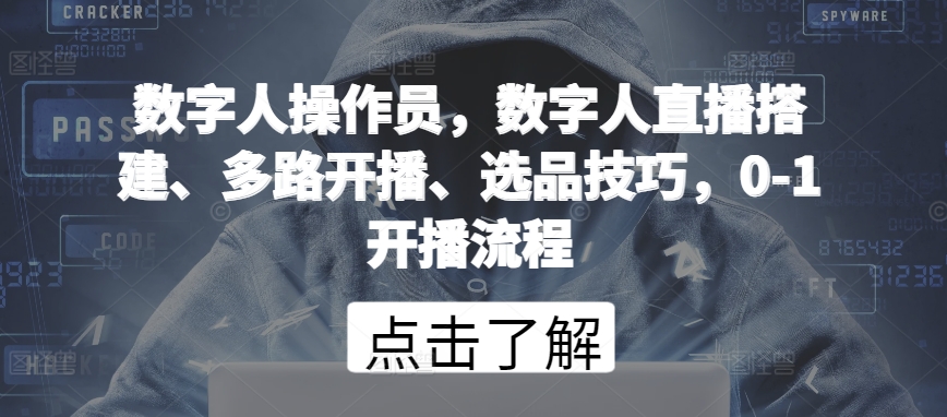 数字人操作员，数字人直播搭建、多路开播、选品技巧，0-1开播流程-117资源网