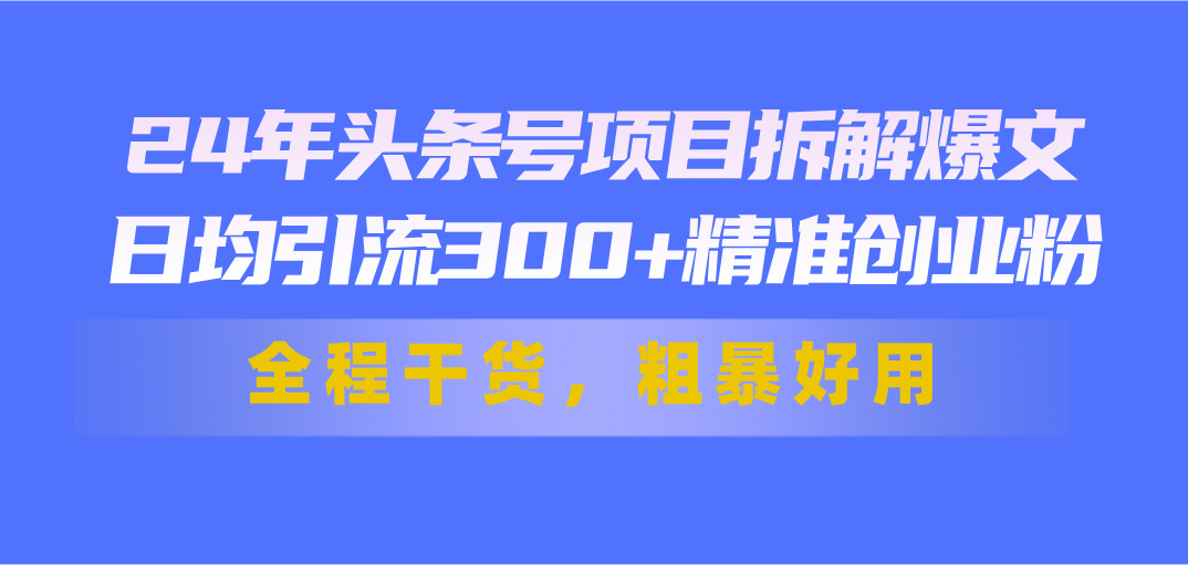 24年头条号项目拆解爆文，日均引流300+精准创业粉，全程干货，粗暴好用-117资源网