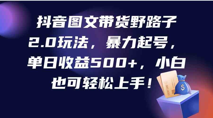 （9790期）抖音图文带货野路子2.0玩法，暴力起号，单日收益500+，小白也可轻松上手！-117资源网