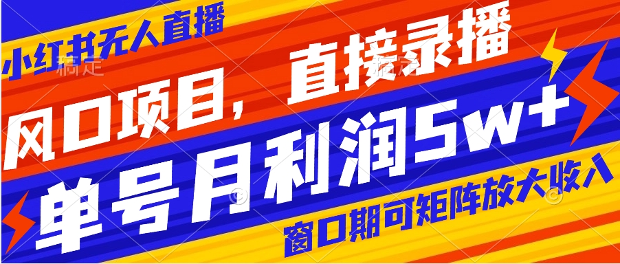 风口项目，小红书无人直播带货，直接录播，可矩阵，月入5w+-117资源网