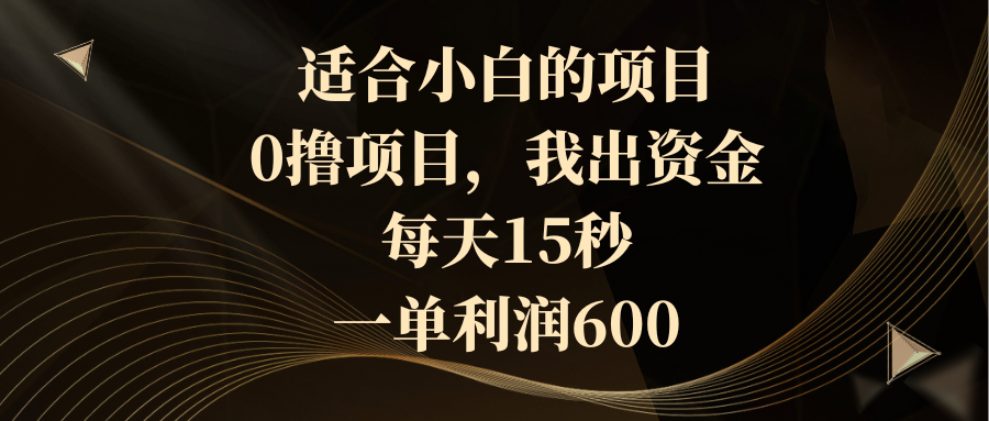 适合小白的项目，0撸项目，我出资金，每天15秒，一单利润600-117资源网