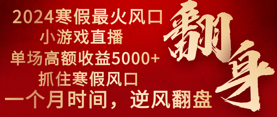 2024年最火寒假风口项目 小游戏直播 单场收益5000+抓住风口 一个月直接提车-117资源网