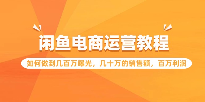 闲鱼电商运营教程：如何做到几百万曝光，几十万的销售额，百万利润-117资源网