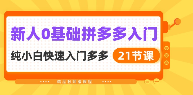 新人0基础拼多多入门，纯小白快速入门多多（21节课）-117资源网