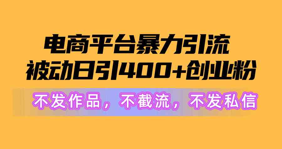 （10168期）电商平台暴力引流,被动日引400+创业粉不发作品，不截流，不发私信-117资源网