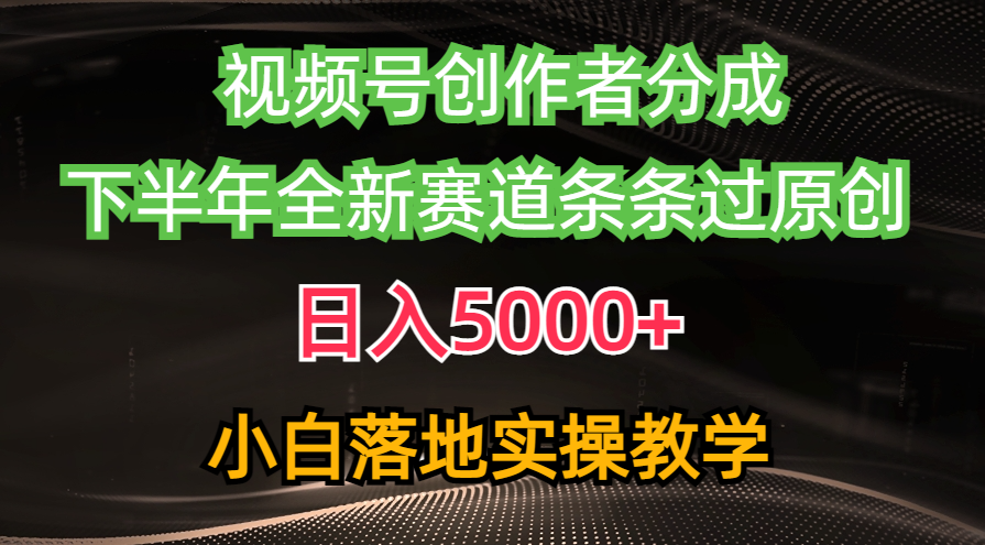 （10294期）视频号创作者分成最新玩法，日入5000+  下半年全新赛道条条过原创，小…-117资源网