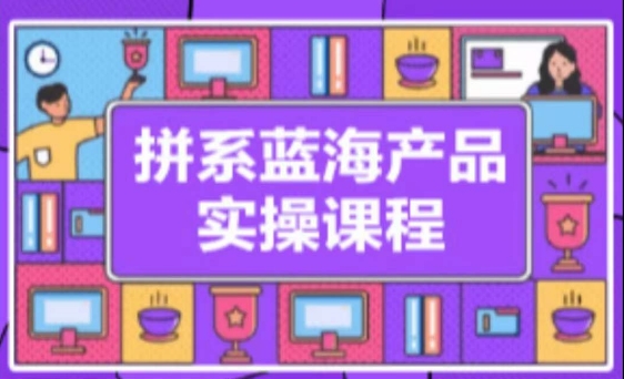 拼系冷门蓝海产品实操课程，从注册店铺到选品上架到流量维护环环相扣-117资源网