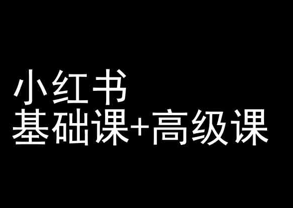 小红书基础课+高级课-小红书运营教程-117资源网