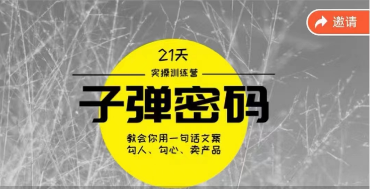 《子弹密码训练营》用一句话文案勾人勾心卖产品，21天学到顶尖文案大师策略和技巧-117资源网