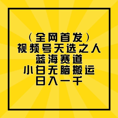 全网首发，视频号天选之人蓝海赛道，小白无脑搬运日入一千-117资源网