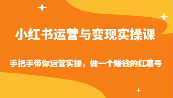 小红书运营与变现实操课-手把手带你运营实操，做一个赚钱的红薯号-117资源网