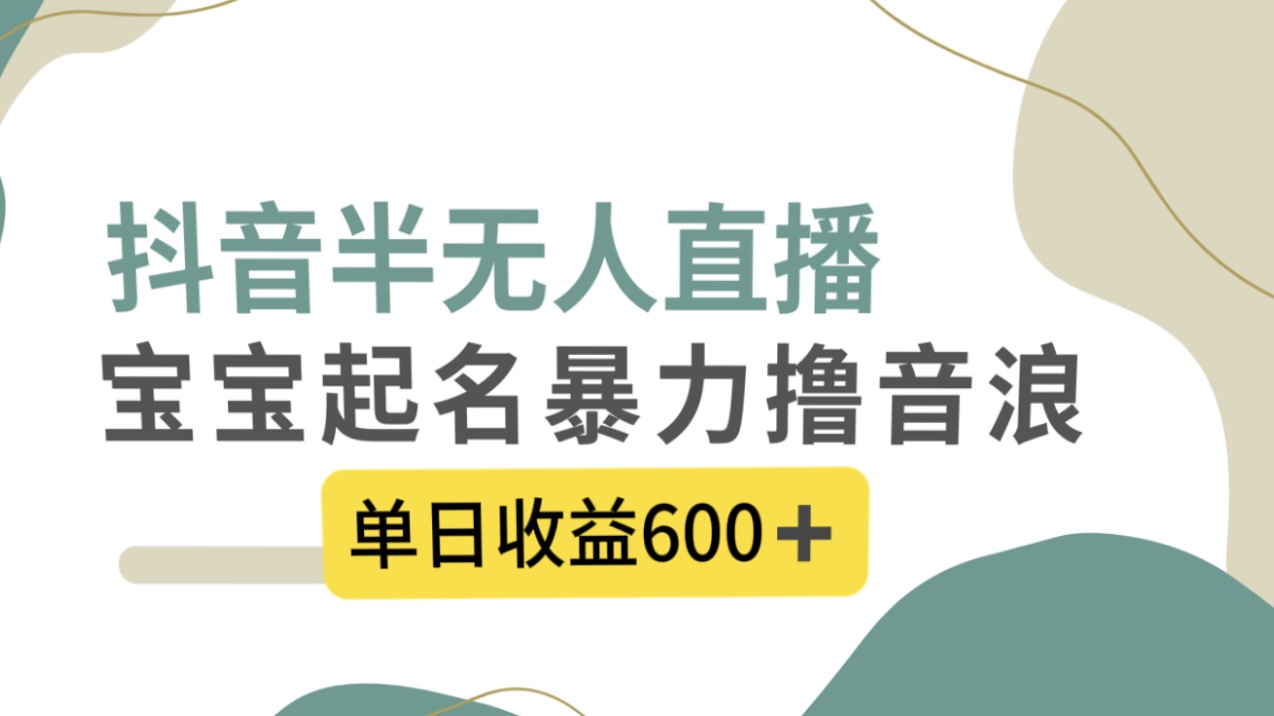 抖音半无人直播，宝宝起名，暴力撸音浪，单日收益600+-117资源网