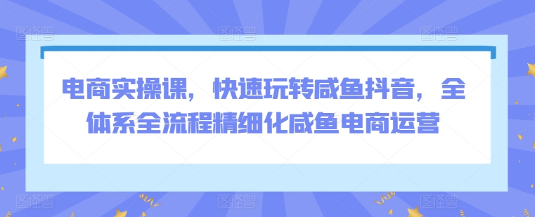 电商实操课，快速玩转咸鱼抖音，全体系全流程精细化咸鱼电商运营-117资源网