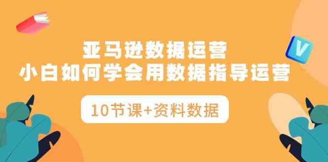 （10158期）亚马逊数据运营，小白如何学会用数据指导运营（10节课+资料数据）-117资源网