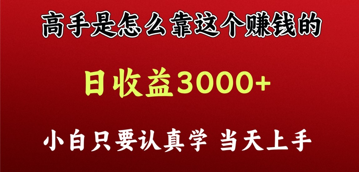 看高手是怎么赚钱的，一天收益至少3000+以上，小白当天上手-117资源网