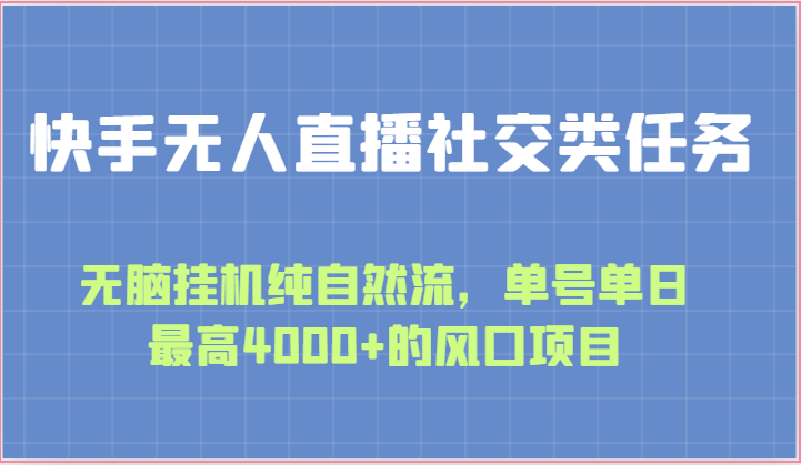 快手无人直播社交类任务：无脑挂机纯自然流，单号单日最高4000+的风口项目-117资源网