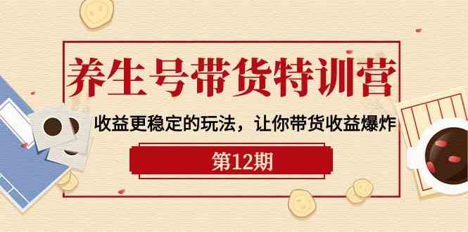 养生号带货特训营【12期】收益更稳定的玩法，让你带货收益爆炸（9节直播课）-117资源网