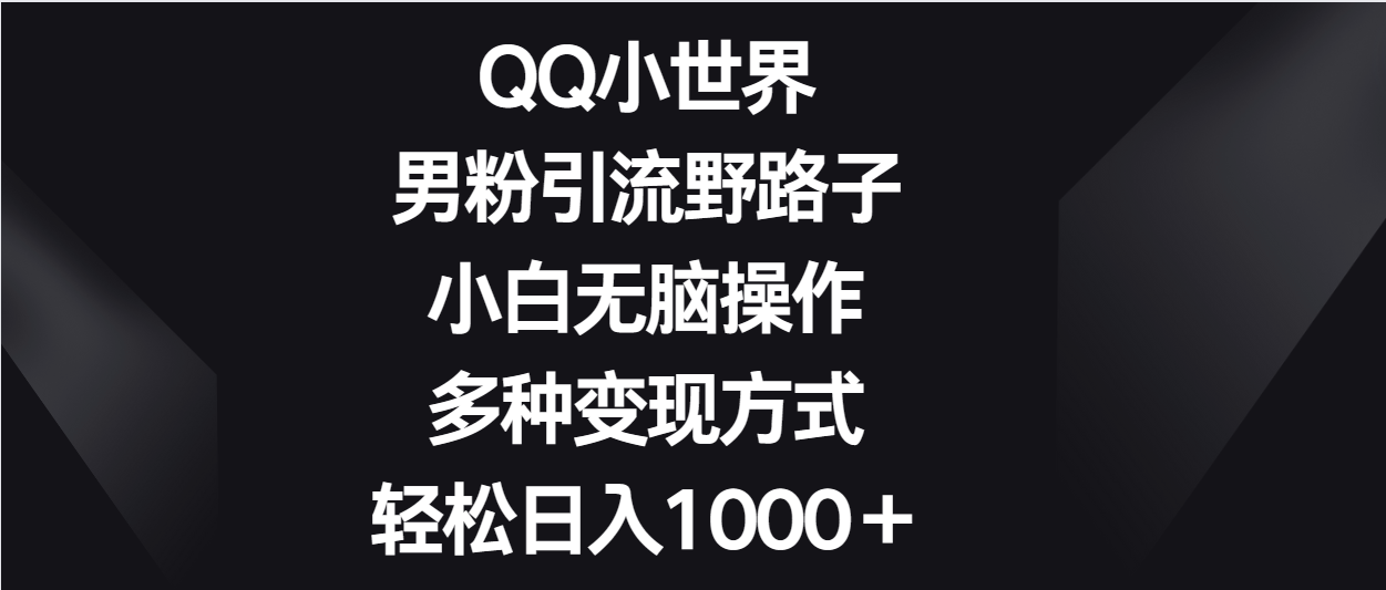 QQ小世界男粉引流野路子，小白无脑操作，多种变现方式轻松日入1000＋-117资源网