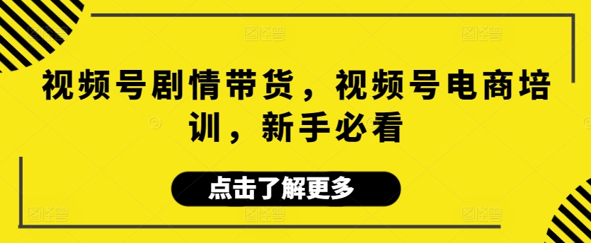 视频号剧情带货，视频号电商培训，新手必看-117资源网