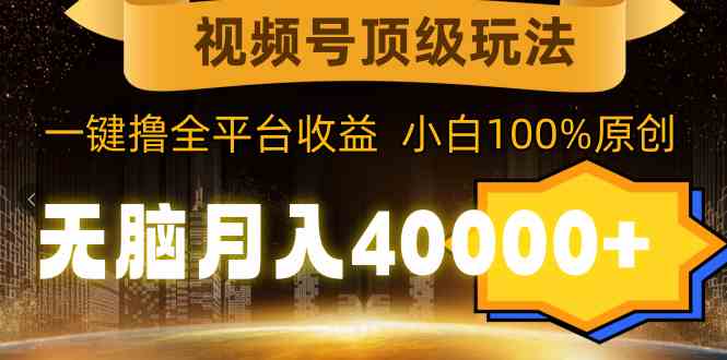 （9281期）视频号顶级玩法，无脑月入40000+，一键撸全平台收益，纯小白也能100%原创-117资源网