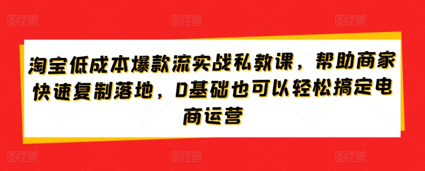 淘宝低成本爆款流实战私教课，帮助商家快速复制落地，0基础也可以轻松搞定电商运营-117资源网