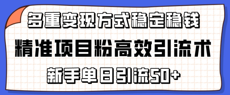 精准项目粉高效引流术，新手单日引流50+，多重变现方式稳定赚钱-117资源网