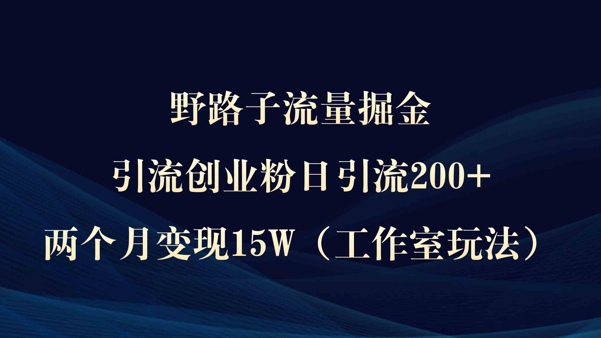 （9513期）野路子流量掘金，引流创业粉日引流200+，两个月变现15W（工作室玩法））-117资源网