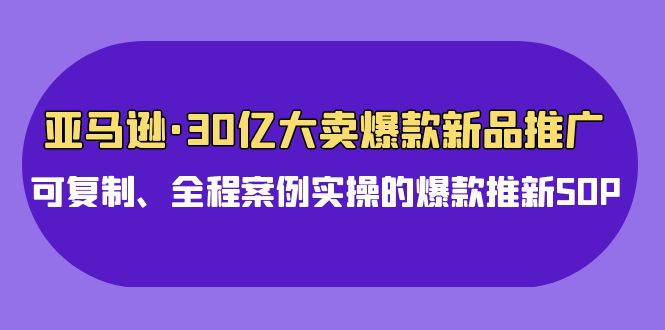 亚马逊30亿大卖爆款新品推广，可复制、全程案例实操的爆款推新SOP-117资源网