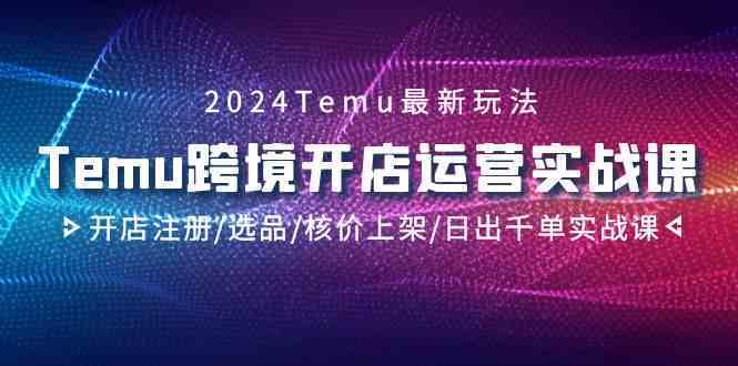 2024Temu跨境开店运营实战课，开店注册/选品/核价上架/日出千单实战课-117资源网