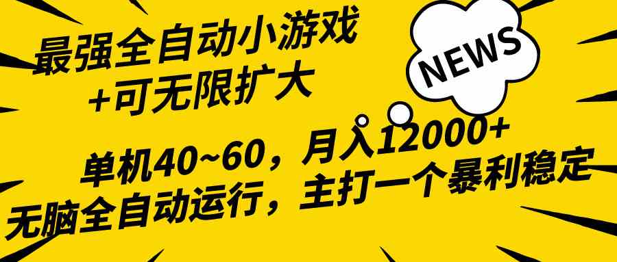 （10046期）2024最新全网独家小游戏全自动，单机40~60,稳定躺赚，小白都能月入过万-117资源网