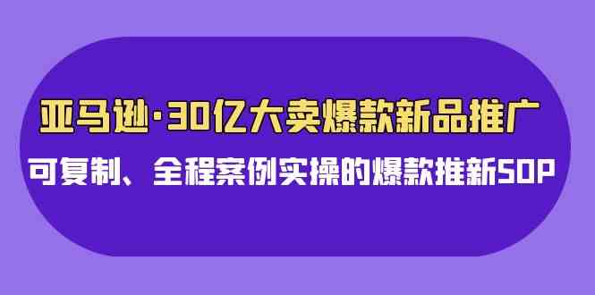 （9944期）亚马逊30亿·大卖爆款新品推广，可复制、全程案例实操的爆款推新SOP-117资源网