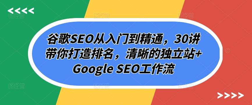 谷歌SEO从入门到精通，30讲带你打造排名，清晰的独立站+Google SEO工作流-117资源网