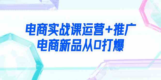 （9313期）电商实战课运营+推广，电商新品从0打爆（99节视频课）-117资源网