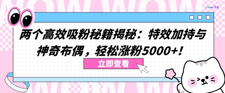 两个高效吸粉秘籍揭秘：特效加持与神奇布偶，轻松涨粉5000+-117资源网