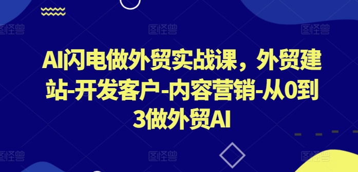 AI闪电做外贸实战课，​外贸建站-开发客户-内容营销-从0到3做外贸AI-117资源网