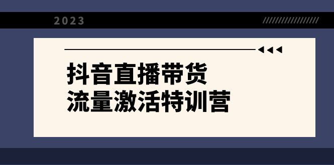 抖音直播带货-流量激活特训营，入行新手小白主播必学（21节课+资料）-117资源网