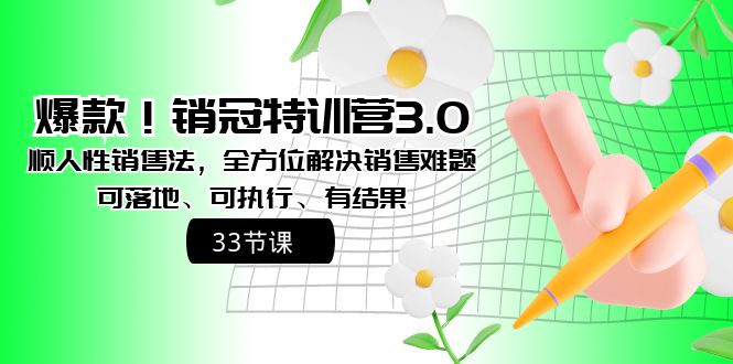 爆款！销冠特训营3.0之顺人性销售法，全方位解决销售难题、可落地-117资源网