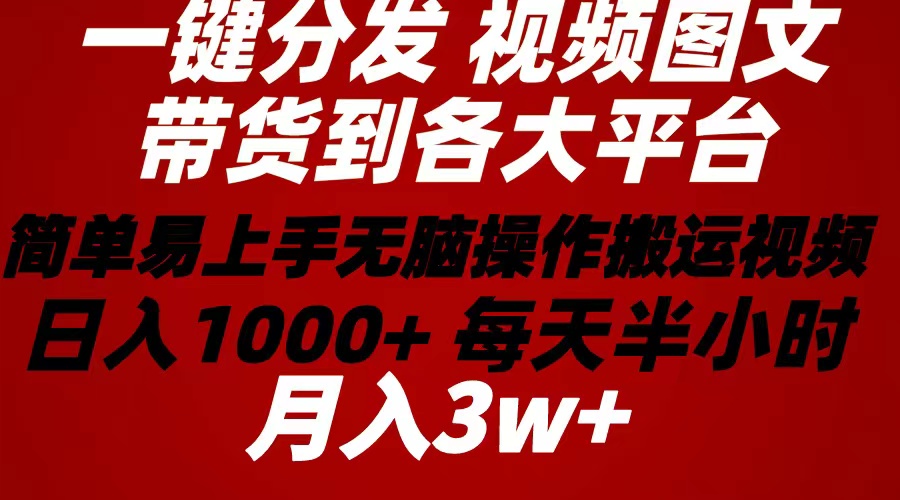 （10667期）2024年 一键分发带货图文视频  简单易上手 无脑赚收益 每天半小时日入1…-117资源网