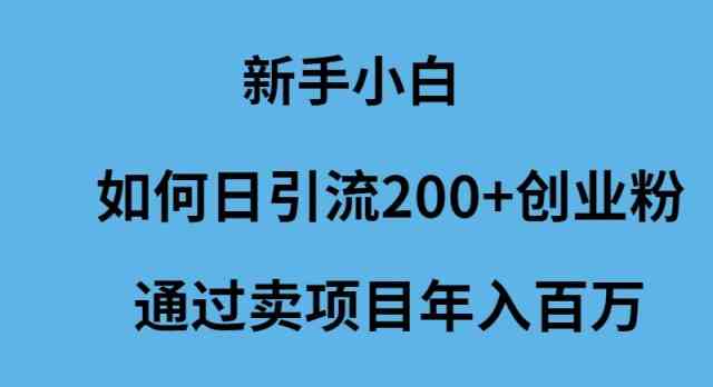 （9668期）新手小白如何日引流200+创业粉通过卖项目年入百万-117资源网