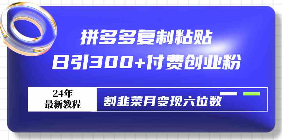 （9129期）拼多多复制粘贴日引300+付费创业粉，割韭菜月变现六位数最新教程！-117资源网