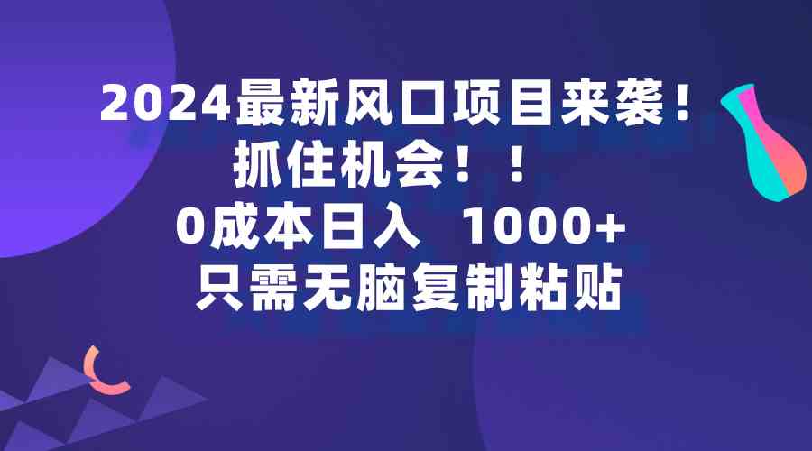 （9899期）2024最新风口项目来袭，抓住机会，0成本一部手机日入1000+，只需无脑复…-117资源网