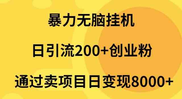 （9788期）暴力无脑挂机日引流200+创业粉通过卖项目日变现2000+-117资源网