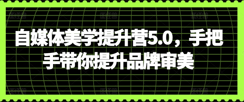 自媒体美学提升营5.0，手把手带你提升品牌审美-117资源网