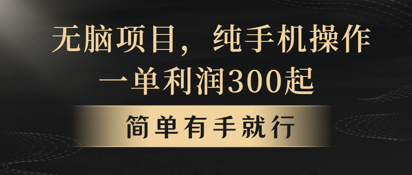 （10699期）无脑项目，一单几百块，轻松月入5w+，看完就能直接操作-117资源网