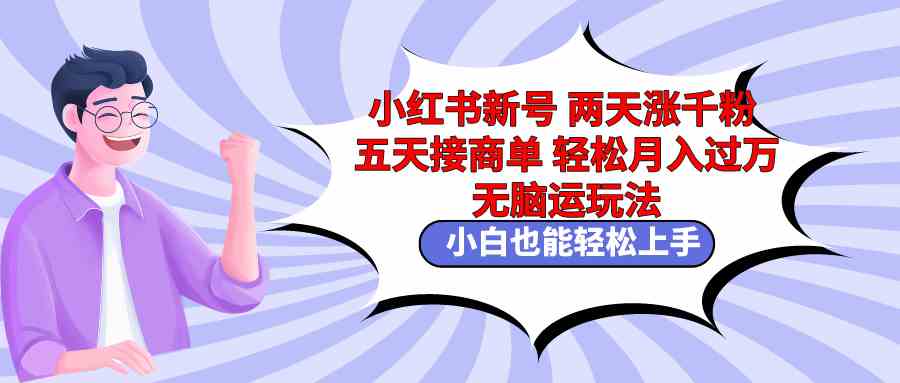 （9239期）小红书新号两天涨千粉五天接商单轻松月入过万 无脑搬运玩法 小白也能轻…-117资源网