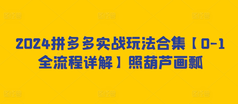 2024拼多多实战玩法合集【0-1全流程详解】照葫芦画瓢-117资源网