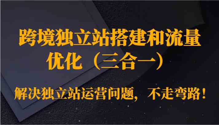 跨境独立站搭建和流量优化（三合一）解决独立站运营问题，不走弯路！-117资源网