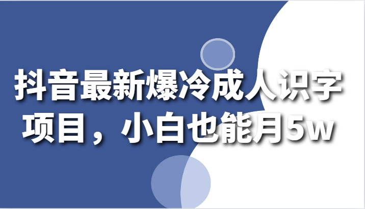 抖音最新爆冷成人识字项目，小白也能月5w-117资源网