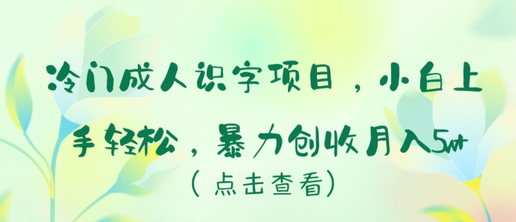 冷门成人识字项目，小白上手轻松，暴力创收月入5w+-117资源网