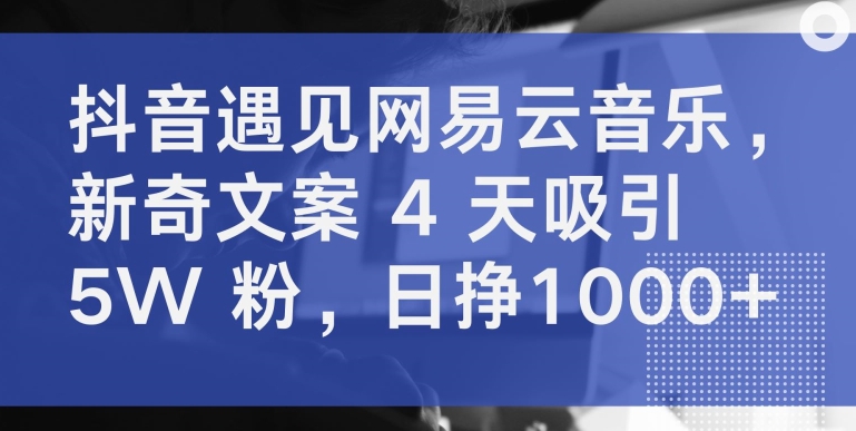 抖音遇见网易云音乐，新奇文案 4 天吸引 5W 粉，日挣1000+-117资源网